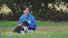 Fred, un cane affettuoso e dinamico