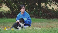 Fred, un cane affettuoso e dinamico