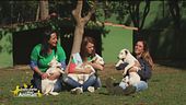 Margot, Ciak e Laila