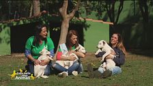 Margot, Ciak e Laila