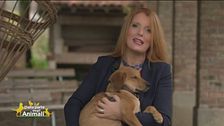 Lucky, un meticcio pieno di vitalità