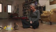 Silvia e la gallina Nina