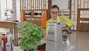 Mini cassoni con verdure dell'orto