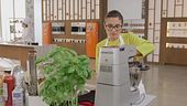Mini cassoni con verdure dell'orto