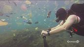 La salute dei nostri oceani