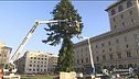 Benvenuto "Spezzacchio"