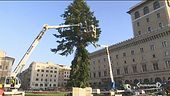 Benvenuto "Spezzacchio"