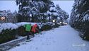 E la neve arriva in città