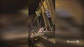 I video durante la scossa