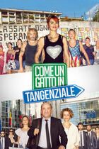 Come un gatto in tangenziale