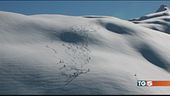Valanghe, tragico bilancio in montagna
