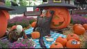 Brividi per Halloween