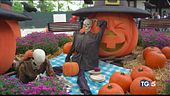 Brividi per Halloween