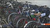 Liti tra i proprietari delle bici rubate