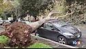 Disastro maltempo: 10 morti, 1 disperso