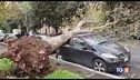 Disastro maltempo: 10 morti, 1 disperso
