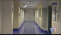 Morbillo e formiche ospedali nella bufera