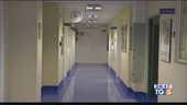 Morbillo e formiche ospedali nella bufera