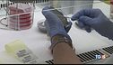 Epidemia di morbillo