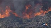 Inferno in California, cinquanta le vittime