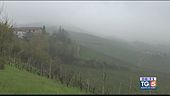 Gusto DiVino: le ripide colline del Moscato