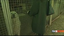 Miro potrà tornare a casa