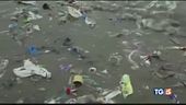 Guerra alla plastica, il mare torni a vivere