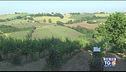 Gusto DiVino: nei vigneti delle Marche