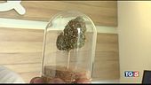 La cannabis leggera può essere pericolosa