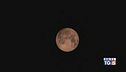 La luna diventerà rossa