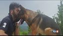 Vigliacco e crudele chi ha ucciso il cane Kaos