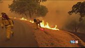Allarme incendi in California