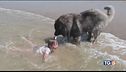 Giochi in acqua