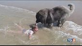 Giochi in acqua