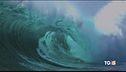 La salvaguardia degli oceani