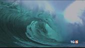 La salvaguardia degli oceani