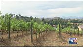 Tempo di Sangiovese