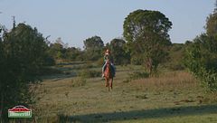 Una cavalcata ai piedi del monte Kenya