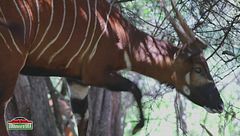 Un territorio ricco di sorprese