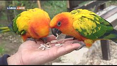 Puntata del 16 settembre