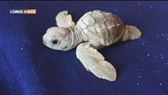 Puntata del 23 settembre