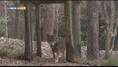 Puntata del 30 settembre