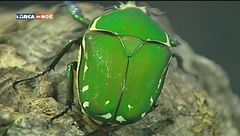 Puntata del 7 ottobre