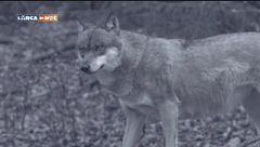 Puntata del 14 ottobre