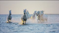 Puntata del 28 ottobre