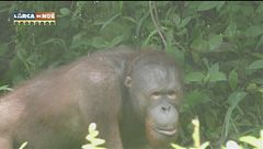 Puntata dell'11 novembre