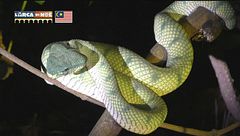 Puntata del 25 novembre