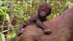 Puntata del 9 dicembre