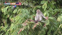 Puntata del 23 dicembre