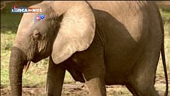 Puntata del 30 dicembre